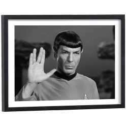 Affiche Monsieur Spock, Star Trek