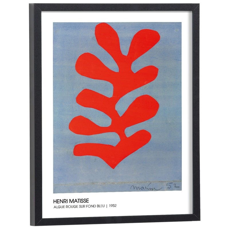 Reproduction tableau Henri Matisse - Algue rouge sur fond bleu