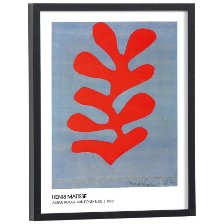 Reproduction tableau Henri Matisse - Algue rouge sur fond bleu