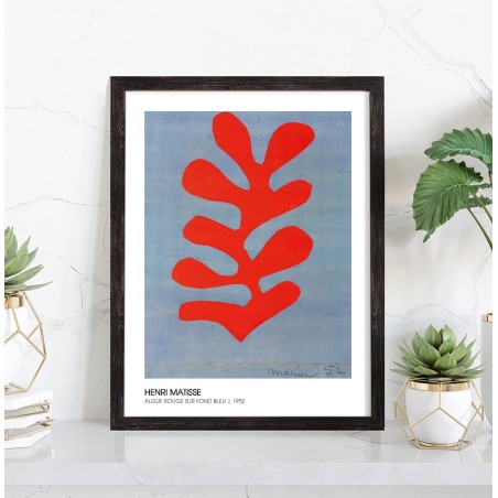 Reproduction Henri Matisse - Algue rouge sur fond bleu