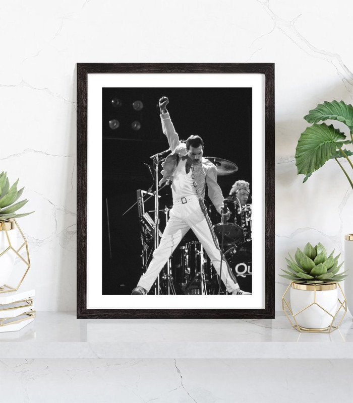  Affiche Freddie Mercury