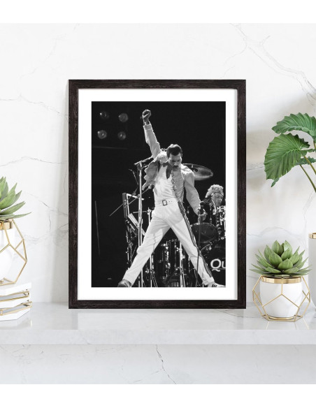  Affiche Freddie Mercury